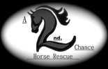 A 2nd Chance Horse Rescue